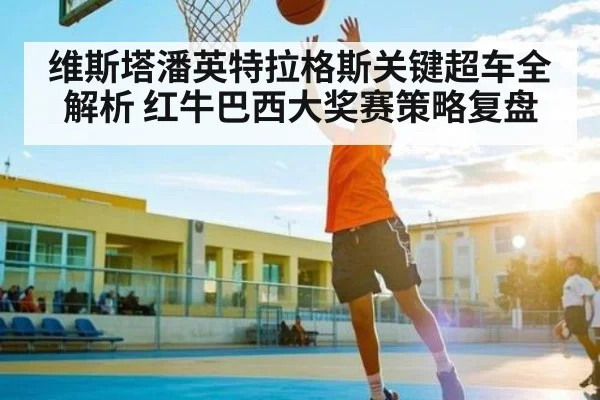维斯塔潘英特拉格斯关键超车全解析 红牛巴西大奖赛策略复盘